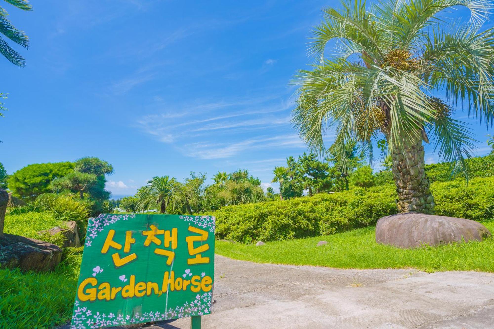 Jungmun Log Pension&Resort Seogwipo Luaran gambar