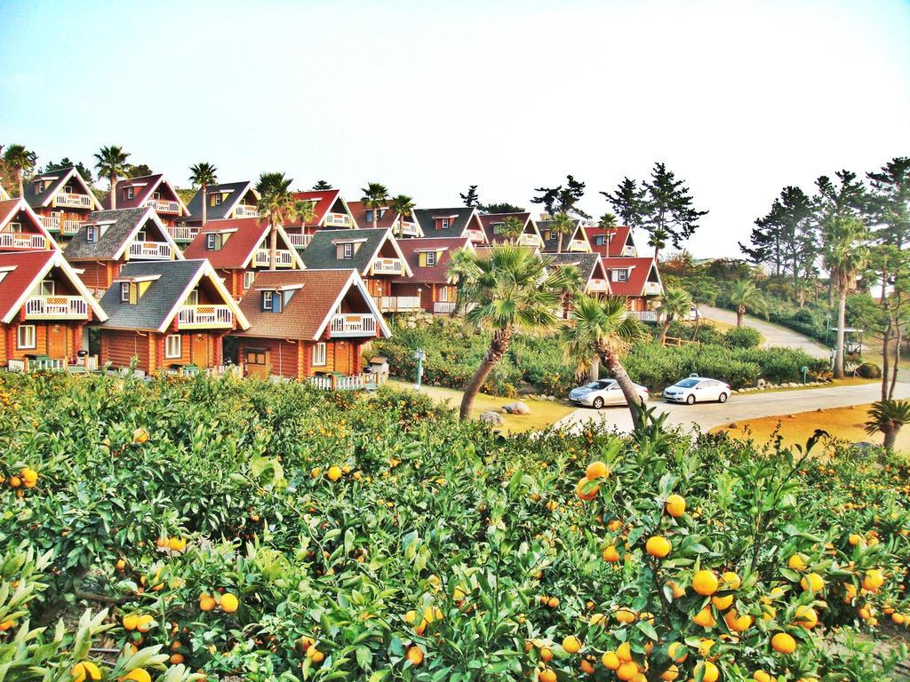 Jungmun Log Pension&Resort Seogwipo Luaran gambar