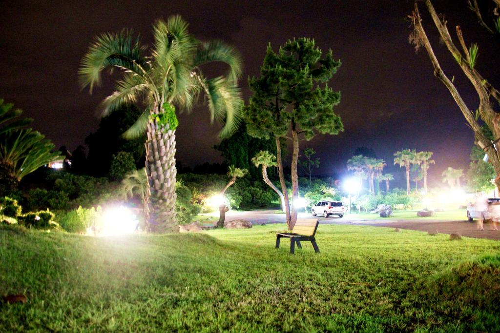 Jungmun Log Pension&Resort Seogwipo Luaran gambar