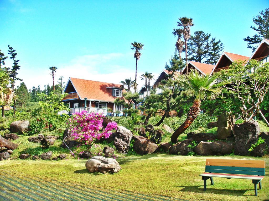 Jungmun Log Pension&Resort Seogwipo Luaran gambar