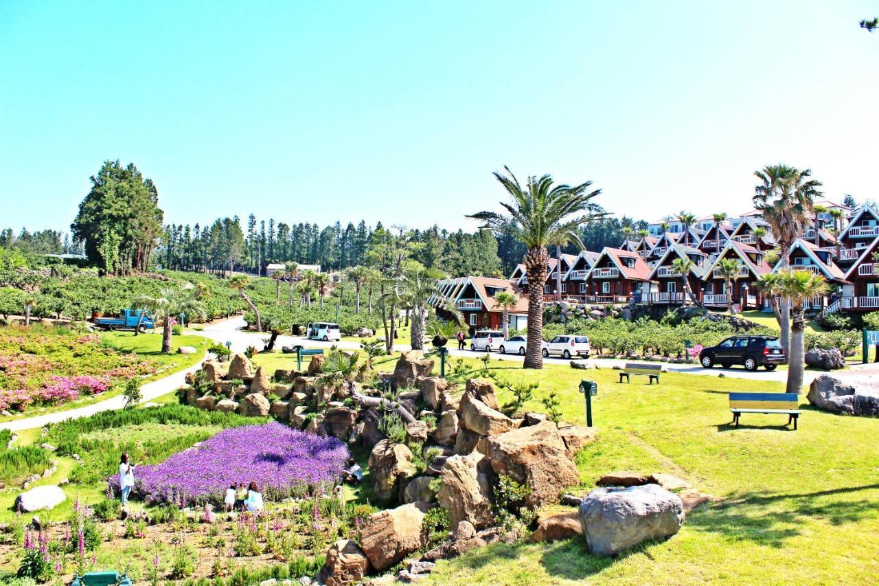 Jungmun Log Pension&Resort Seogwipo Luaran gambar